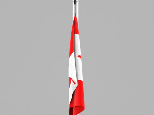 flag of canada 3D Модель