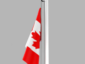 flag of canada 3D Model