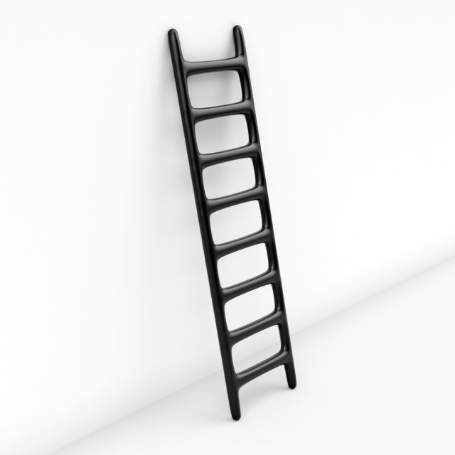carbon fiber ladder 3D Model .c4d .max .obj .3ds .fbx .stl .blend 