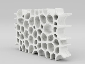 voronoi shelf 3D Model