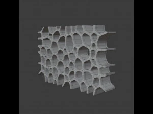 voronoi shelf 3D Model
