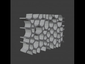 voronoi shelf 3D Модель