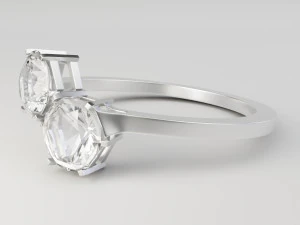 ikili altıgen y&uuml;z&uuml;k 3D Model