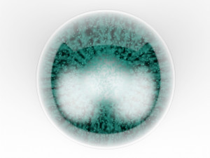snow globe Model 3D