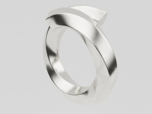 twisted spiral ring 3D Модель