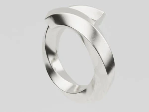 twisted spiral ring 3D Model
