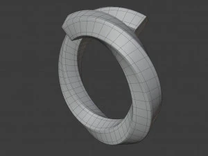 twisted spiral ring 3D Model