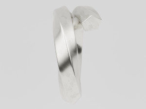 twisted spiral ring 3D Модель