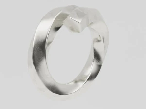 twisted spiral ring 3D Model