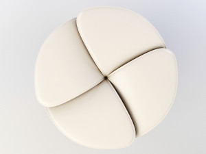 blossom stool snow 3D Model