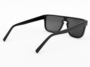 waimea sunglasses 3Dモデル