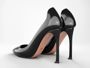 d moi pumps 3D Model