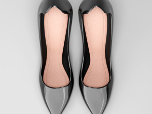d moi pumps Modelo 3D
