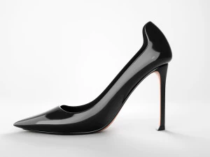 d moi pumps 3D Model