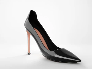 d moi pumps 3D Model