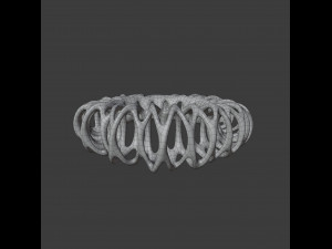 coil ring Model 3D