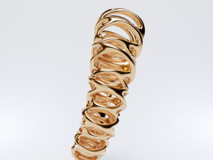 coil ring Model 3D