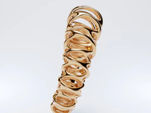 coil ring 3D Model
