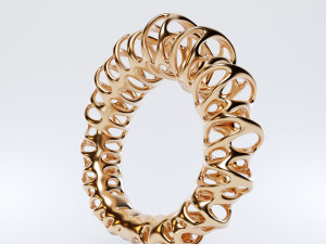 coil ring Model 3D