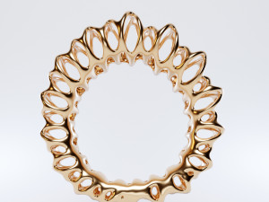 coil ring Model 3D