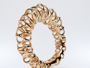 coil ring Model 3D