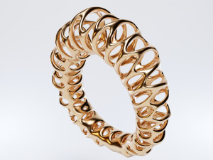 coil ring Model 3D