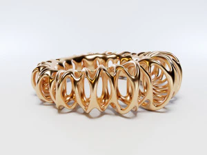 coil ring 3D Model
