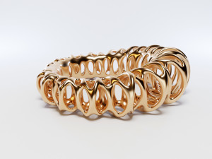 coil ring Model 3D