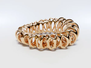 coil ring 3D Model