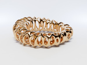 coil ring Model 3D