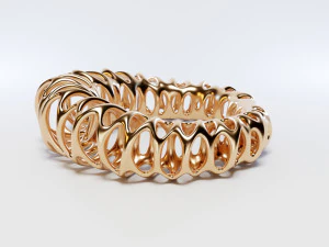 coil ring 3D Model
