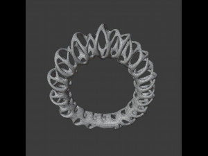 coil ring Model 3D