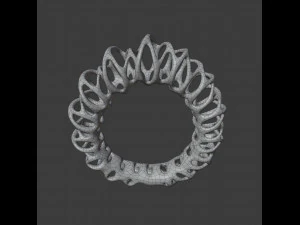 coil ring 3D Model