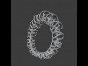 coil ring Model 3D