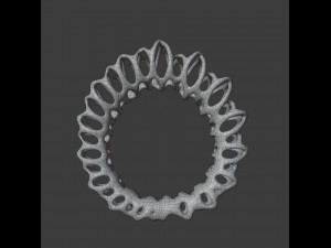 coil ring Model 3D