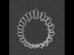 coil ring 3D Model