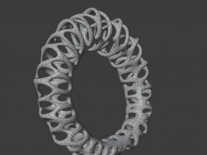 coil ring Model 3D