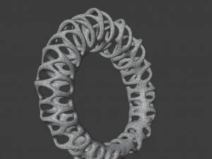 coil ring 3D Model