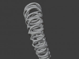 coil ring Model 3D