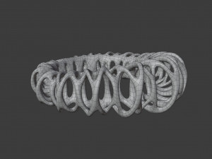 coil ring Model 3D