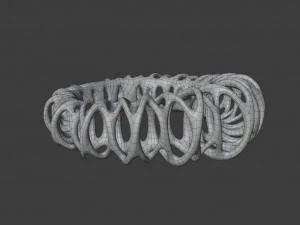 coil ring 3D Model