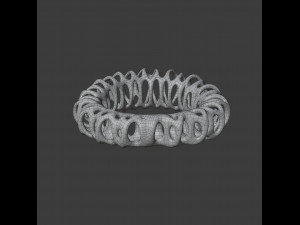 coil ring Model 3D