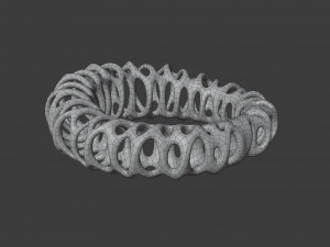 coil ring Model 3D