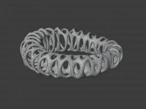 coil ring 3D Model