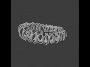coil ring Model 3D