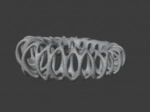 coil ring Model 3D