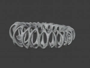 coil ring 3D Model