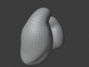 resting bird figures 3D 모델