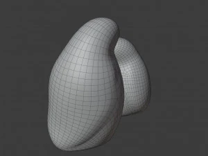 figure di uccelli a riposo Modello 3D