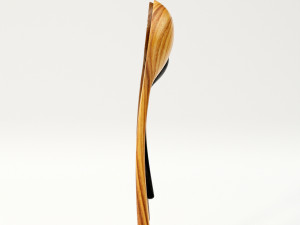 Wooden spoons 3D मॉडल